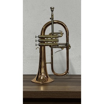 Flugelhorn Dasons Intermediário Rosè com Laqueado Si Bemol